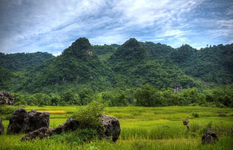 Hua Tat Mai Chau wandelen rijstvelden